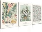Induslyfe Framed Sage Green Vintage Wall Art Canvas Decor Set of 3, Matisse Wall Art Prints Posters Mid Century Modern Art, Aesthetic Floral Botanical wall art for bedroom, living room, bathroom 12x16
