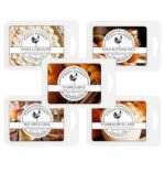 Farm Raised Candles - USA Made - Hand Crafted - Pumpkin Patch 5-Pack Soy Wax Melts – Vanilla Cream Pie, Apple Cider, Butterscotch, Pumpkin Spice & Latte – Fall Melt – 100% American Soy Wax
