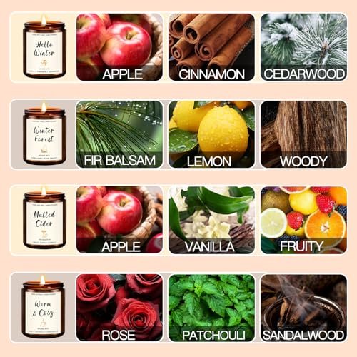 51WVT19njPL._SL500_.jpg Christmas Scented Candle Gift Set β 4 Winter Soy Candles: Apple Cinnamon, Fir Balsam, Mulled Cider, Sandalwood. Perfect Holiday Gifts for Her! - Image 2