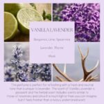 396 St. Rose Vanilla Lavender Reed Diffuser - 200ml (6.7oz) | Home Fragrance & Décor Set - Image 6