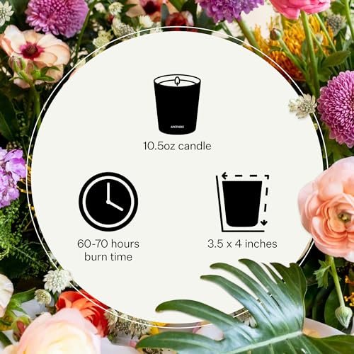 51cp5r2EQNL._SL500_.jpg Apotheke Charcoal Scented Candle, 10.5 oz - Soy Wax, Non-Toxic Luxury Gift for Him & Her - Image 3
