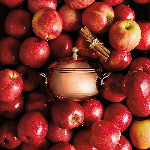 51e1h-mBXIL._SL500_.jpg Thymes Simmered Cider Candle – Warm Apple, Clove, & Cardamom Scent – Luxury Fall Decor, 3 Wick, 18 oz - Image 2