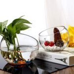 WGVI 7" Clear Slant Cut Bowl Glass Vase – Ideal for Terrariums, Candy, or Decor. Height: 6", Base: 4". 1 Piece. - Image 5