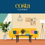 Costa Farms Live Plants (3-Pack) - Easy Indoor Houseplants for Air Purification & Home Décor Gift. - Image 8
