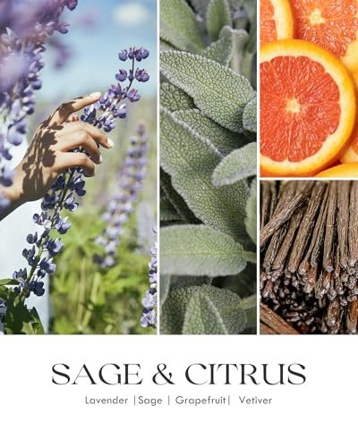 51oc2iw2i3L._SL500_.jpg AOOVOO Sage Citrus Candle - 9oz Wood Wick, 50-Hour Burn Time, Natural Soy Scented Candle for Home - Image 4