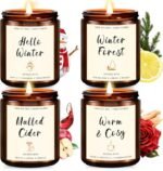 Christmas Scented Candle Gift Set for Women β 4 Pack Winter Soy Candles with Apple Cinnamon, Fir Balsam, Mulled Cider, Sandalwood β Holiday Gifts for Her, Home DΓ©cor