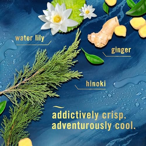 51qsgE1TxgL._SL500_.jpg Febreze Air Mist Air Freshener Spray, Ocean Scent, 8.8oz - 3 Count, Odor Elimination for Home, Bathroom, Kitchen. - Image 3
