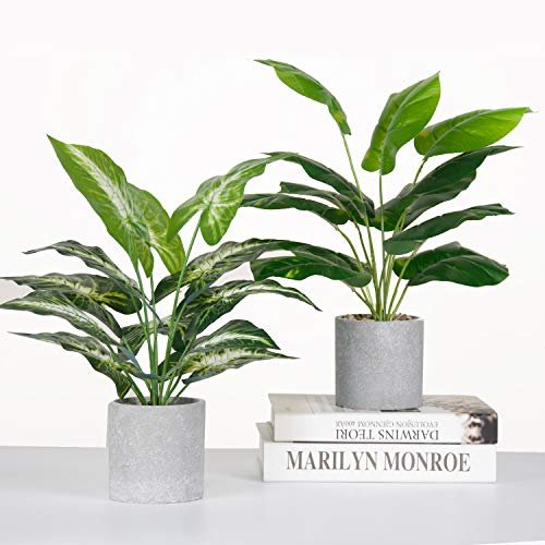 51rCeax2zUL._SL500_.jpg Der Rose 2 Pack of Fake Tropical Plants - Artificial Indoor Decor for Home & Office, Sage Green - Image 6