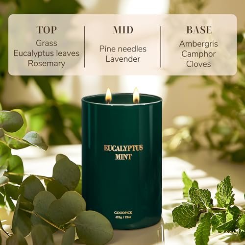 51vSy8WQOsL._SL500_.jpg Goodpick Eucalyptus Mint Soy Candles for Home - 22oz, 120 Hours of Stress-Relieving Scent - Image 5