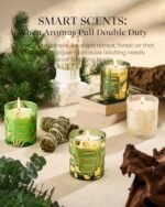M&SENSE Eucalyptus Candles - Vegan Soy, 8.1oz, 42-Hour Burn Time, Ideal Relaxing Gifts for Fall & Winter. - Image 5