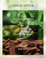 M&SENSE Eucalyptus Candles - Vegan Soy, 8.1oz, 42-Hour Burn Time, Ideal Relaxing Gifts for Fall & Winter. - Image 2