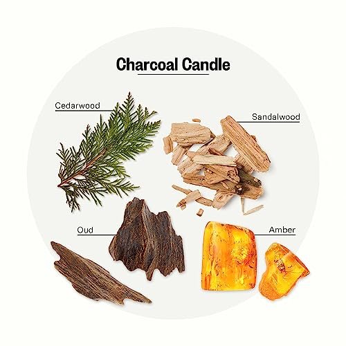 51z7Dc5lSKL._SL500_.jpg Apotheke Charcoal Scented Candle, 10.5 oz - Soy Wax, Non-Toxic Luxury Gift for Him & Her - Image 2