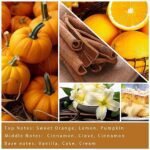 Cinnamon & Pumpkin Scented Candle – 7 oz Cozy Fall Candle for Home, Perfect Autumn Décor & Gifts. - Image 3