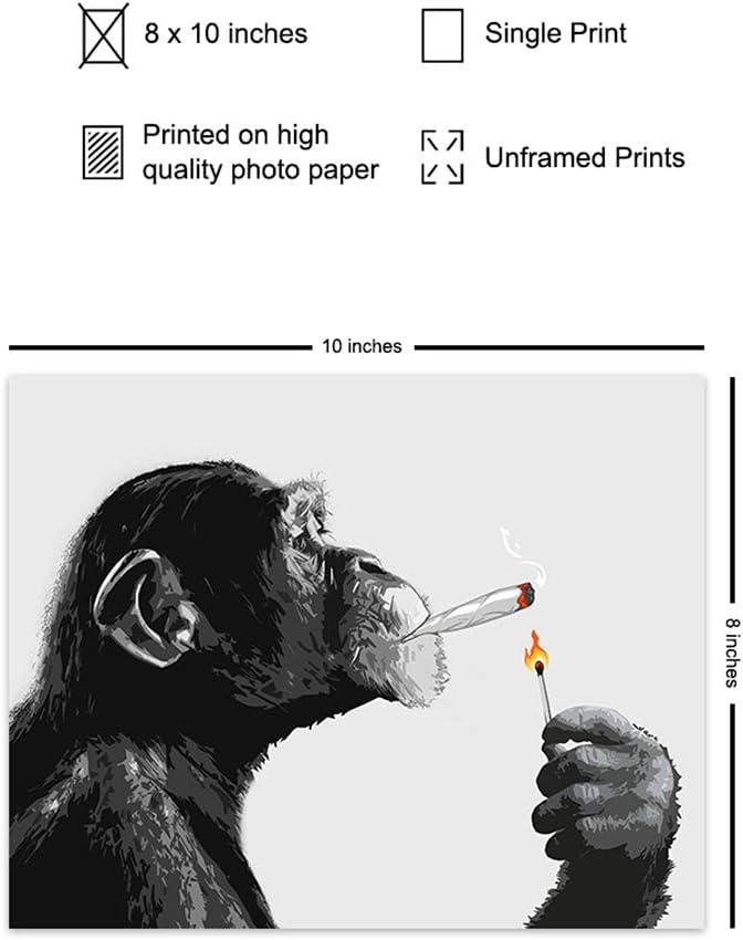 Blazing Fun: Our Review of the Smoking Chimp Wall Art
