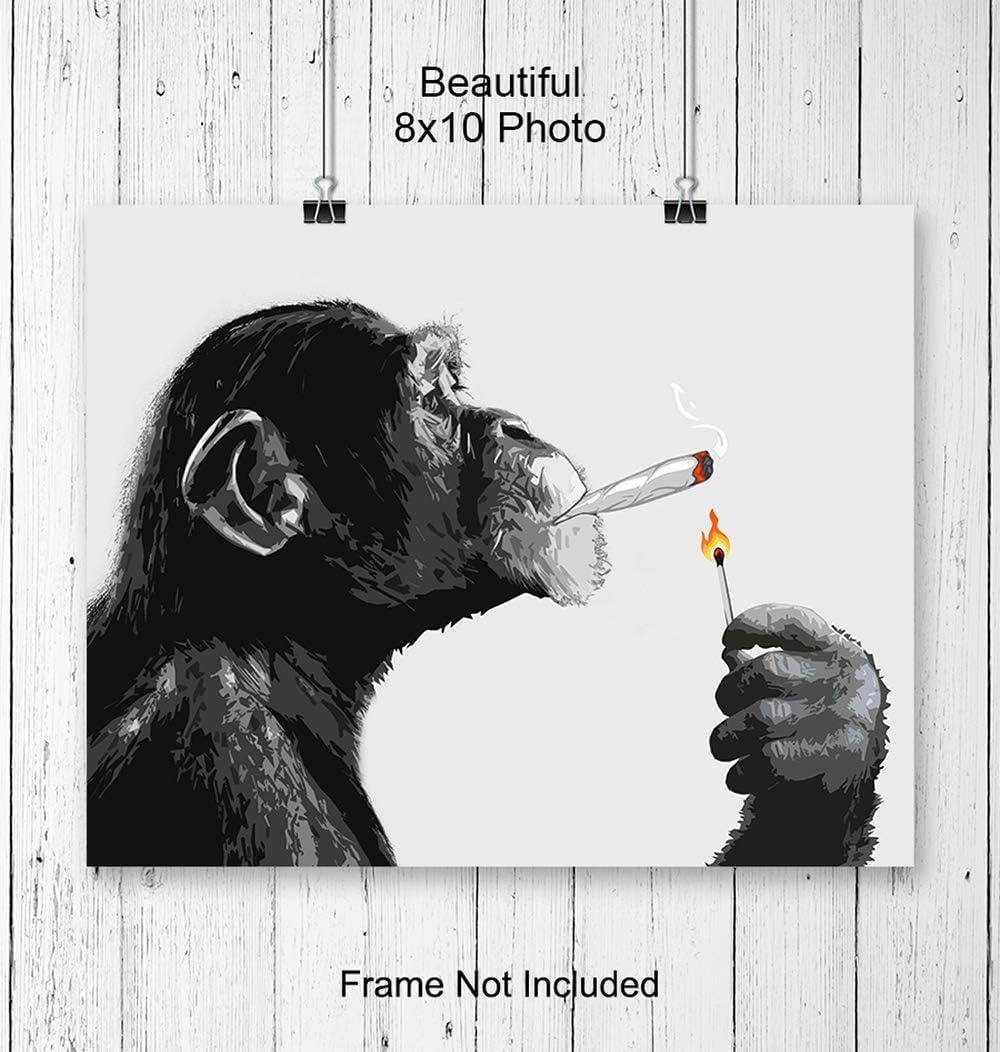 Blazing Fun: Our Review of the Smoking Chimp Wall Art