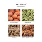 NEST New York Pumpkin Chai 3-Wick Candle - 21.2 oz - Up to 100 Hours Burn Time - Stylish Reusable Glass - Image 4