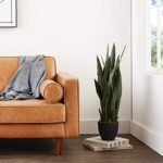 Nearly Natural 35" Green Sansevieria with Black Planter – Perfect Indoor Decor! - Image 10