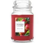 Yankee Candle Macintosh, Fall Scented Candle, 22oz Large Jar with up to 150 Hour Burn Time