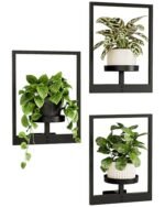Bamworld Hanging Planters for Indoor Plants Wall Decor Living Room Plant Stand Indoor Wall Planters Plant Hanger Window Plant Shelves 3 Pack for Outdoor Entryway