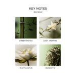 NEST New York Bamboo Scented Candle - 21.2 oz, 3 Wicks, Up to 100-Hour Burn, Reusable Glass - Image 4