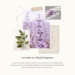 Thymes Lavender Aromatic Jar Candle - 7.5 oz Matte White Candle for Soothing Home Fragrance - Image 2
