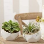 Kate Aspen Geometric Ceramic Planters – Set of 2 Decorative Bowls, Small & Medium, White - Image 5