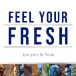 Glade 1-Wick Juniper & Teak Scented Candle Jar, 4.08 Oz, 2-Pack, Infused with Essential Oils - Image 2