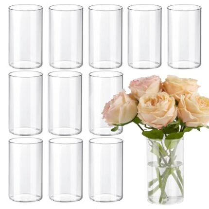 TBWIND 12pcs Glass Cylinder Vases for Centerpieces, 6 Inch Clear Flower Vases for Wedding Decorations and Indoor Home Decor, Hurricane Candle Holder for Table Shelf, Party