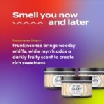 Indigo Wild Glow Frankincense & Myrrh Soy Candle - Essential Oil Scented, 30-Hour Burn, 7 oz (3 Pack) - Image 3