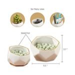 Kate Aspen Geometric Ceramic Planters – Set of 2 Decorative Bowls, Small & Medium, White - Image 6