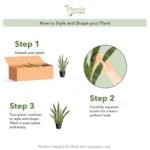 Nearly Natural 35" Green Sansevieria with Black Planter – Perfect Indoor Decor! - Image 4
