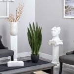 Nearly Natural 35" Green Sansevieria with Black Planter – Perfect Indoor Decor! - Image 2
