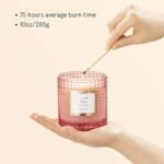 LA JOLIE MUSE Rose Noir & Oud Candle | Lemon, Rose & Oud | 10 oz Soy Wax | 55-Hour Burn | Perfect Gift for Hosts - Image 4