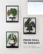 Bamworld Wall Planters for Indoor Plants - 3-Pack Hanging Plant Stands for Living Room & Entryway Decor - Image 3