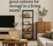 What are some good options for storage in a living room?