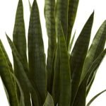Nearly Natural 35" Green Sansevieria with Black Planter – Perfect Indoor Decor! - Image 8