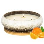 Scented Candles, 3 Wicks Large Citrus Candle for Home Scented, 17 oz Aromatherapy Candle Gifts for Women, Decorative Natural Soy Candles with Long Lasting Ideal for Mother's Day Birthday Anniversary
