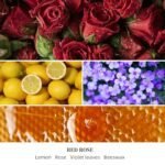 KONNI Red Rose Soy Candle - Aromatherapy Jar with 40-Hour Burn Time, Perfect Gift for Birthdays, Valentine's, Christmas, and Anniversaries, 7 oz. - Image 5