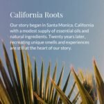 Archipelago Botanicals Eucalyptus Scented Candle, 10 Oz, Hand-Poured Soy Wax, 60-Hour Burn, Gift Box. - Image 4