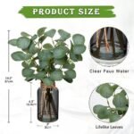 Briful 14" Artificial Eucalyptus Stems in Black Glass Vase with Faux Water - Ideal for Home, Office, or Wedding Décor - Image 2