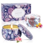 Scented Candle Gift Set for Women, 2 Pack 2.5 oz Aromatherapy Candles for Home Scented, Christmas Gifts for Women, Ideal Stocking Stuffers Holiday Gifts for Mother Coworker Teacher Friends Birthday