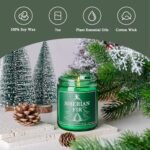 4-Pack Long-Lasting Scented Candles for Home Decor, Aromatherapy Gifts for Fall, Winter, Halloween, and Christmas. - Image 2