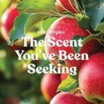 Yankee Candle Macintosh – 22oz Fall Scented Jar Candle with 150-Hour Burn Time - Image 2