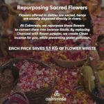 White Sage Incense Sticks for Cleansing - 80 Charcoal-Free Sticks Made from Upcycled Flowers. Cleanse Negative Energy and Enhance Protection. - Image 6