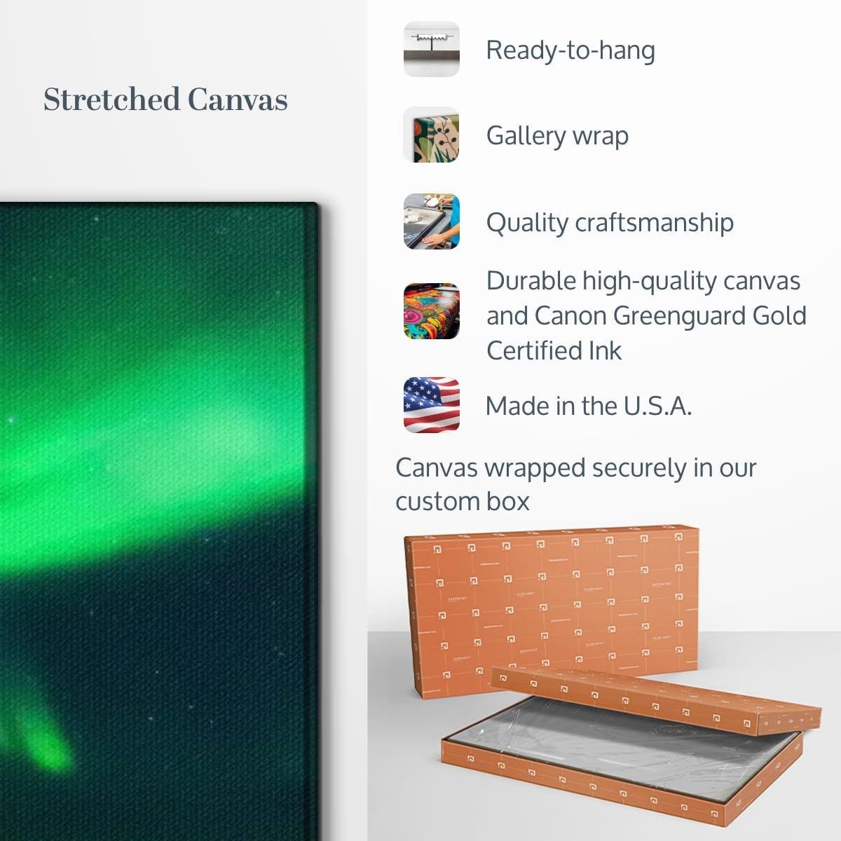 Our Review: ElephantStock's Stunning⁣ Aurora Borealis Canvas