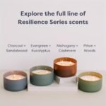 Calyan Wax Co. Evergreen & Eucalyptus 3 Wick Candle - 30 Hour Burn - Luxury Soy Wax in Ceramic Jar - 8oz Non-Toxic Home Candle - Image 8