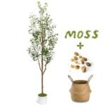 LuceAlberi 6FT Artificial Olive Tree - Indoor Tall Faux Olive Trees with Planter&Basket, Large Fake Olive Silk Tree Realistic Olive Plants with Branches and Fruits for Home Decor Office Living Room