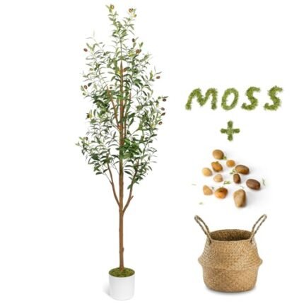 LuceAlberi 6FT Artificial Olive Tree - Indoor Tall Faux Olive Trees with Planter&Basket, Large Fake Olive Silk Tree Realistic Olive Plants with Branches and Fruits for Home Decor Office Living Room