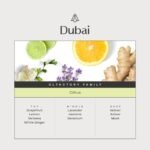 AromaPlan Hotel Scents Dubai, 1.7 Fl Oz - Luxury Home & Hotel Diffuser Oil for Aromatherapy, USA Made - Image 3