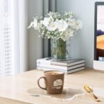 Leadiy Clear Acrylic Coaster Plates in Irregular Cloud Shape for Tabletop Protection and Style. - Image 3